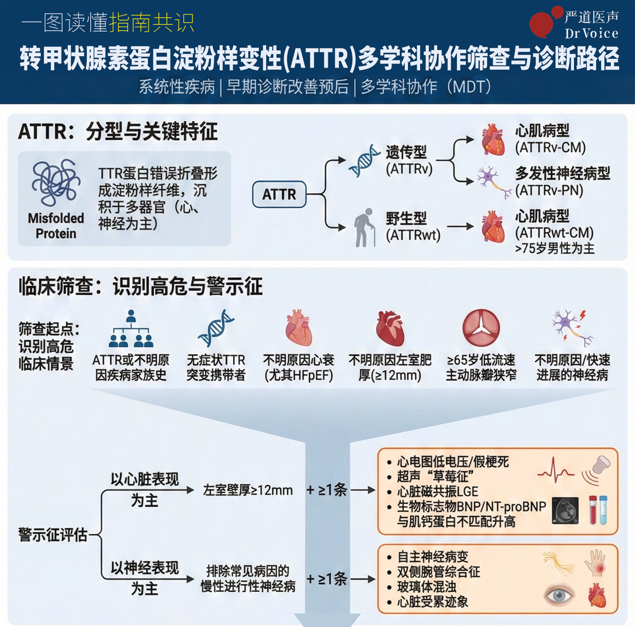 一图读懂：淀粉样变性多学科诊疗专家共识
