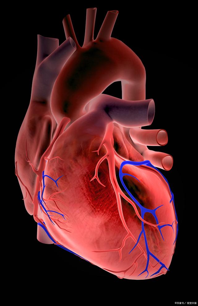 心房心肌病，与房颤不同！欧美等四个心律学会共识