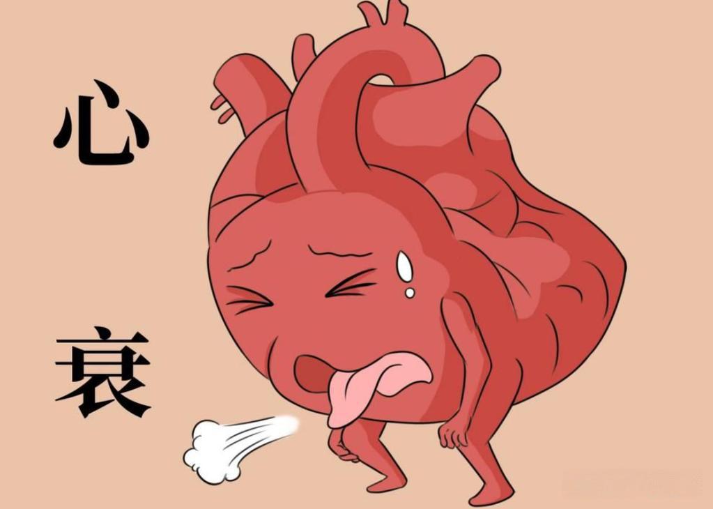 预测心衰预后，右室大小优于LVEF！全球40国1.7万余名心衰患者分析