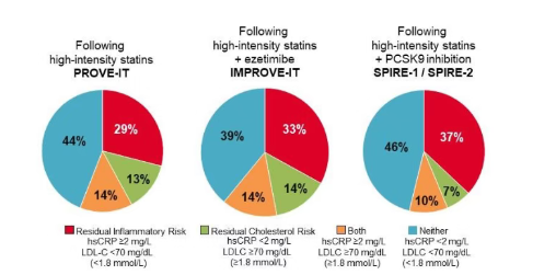 残留胆固醇风险和残留炎症风险，都要关注！ESC残留风险心血管圆桌会议报告
